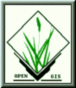 GRASS LOGO